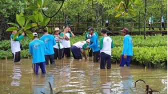Dorong Pendidikan Mangrove di Bangku Sekolah, CSR Pertamina Jadi Lokasi Pembelajaran Adiwiyata se-Cilacap