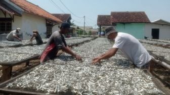 Nelayan tak Berani Melaut karena Gelombang Tinggi, Ikan Asin Jenis Teri Kosong di Pulau Pasaran