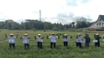 Petani Kulon Progo Panen Raya Bawang Merah seluas 60 Ha dengan Harga Jual Rp18,40 miliar