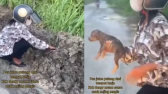 Dengar Suara Hewan Terjebak, Aksi Perempuan Selamatkan Anak Anjing Ini Bikin Salut