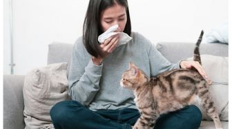 Nggak Usah Khawatir, Ini 3 Tips Aman Pelihara Kucing Meski Kamu Alergi