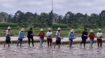Viral Puan Maharani Ikut Tanam Padi Bersama Petani, Netizen: Merakyat Kalau Ada Maunya