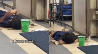 Bocah dan Kucing Ini Tidur di Emperan Minimarket, Videonya Banjir Doa Warganet