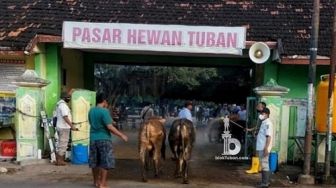 PMK Mereda, 4 Pasar Hewan di Tuban Dibuka Lagi Secara Serentak 2 Oktober 2022