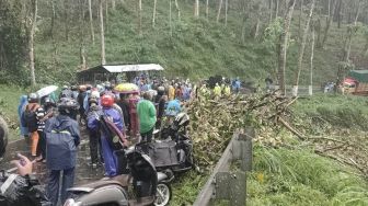 Tertimpa Pohon Tumbang di Jalur Malang-Kediri, Satu Orang Meninggal Dunia