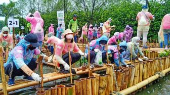 Bukan Cuma Sebagai Ekowisata, Penanaman Mangrove Jadi Cara Ajak Anak Muda Jaga Lingkungan