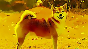 Setahun Shiba Inu, Berapa Angka Nol yang “Hilang”?