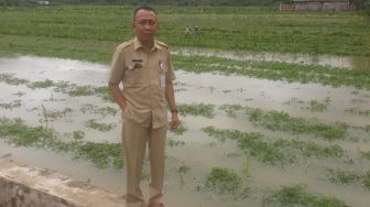 Diguyur Hujan Semalaman, Ratusan Hektar Lahan Pertanian di Bantul Terendam Banjir