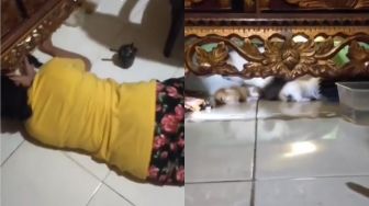 Ibu Gulingan di Lantai Buat Anak Bingung, Ternyata Lagi Main sama Kucing