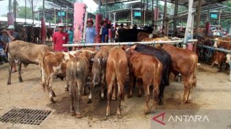 Pemkab Boyolali Kembali Buka 5 Pasar Hewan, Namun dengan SOP Ketat