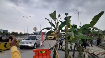 Ahli Waris Tol Jatikarya Blokir Jalan dan Tanam Pohon Pisang, Tuding Ada Oknum di BPN yang Bermain