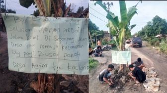 Protes ke Pemerintah, Warga Desa Agom Tanam Pohon Pisang di Tengah Jalan Rusak