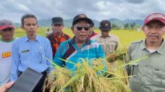 Bupati Kayong Utara Citra Duani Godok Regulasi Tentang Lahan Pertanian dan Pangan Berkelanjutan, Buat Apa?