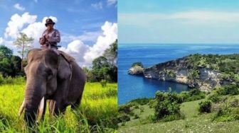 7 Tempat Wisata Ramah Lingkungan di Indonesia, Perlu Dilestarikan!