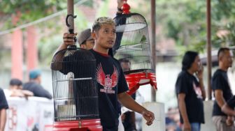 Cara Unik Relawan Sosialisasikan Figur Ganjar Pranowo Lewat Lomba Kicau Burung di Salatiga