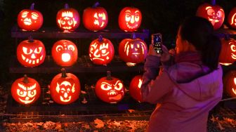 Pengunjung melihat ukiran labu di pameran Great Jack O'Lantern Blaze di Van Cortlandt Manor, Croton-on-Hudson, New York, Amerika Serikat, Sabtu (8/10/2022). [Bryan R. Smith / AFP]