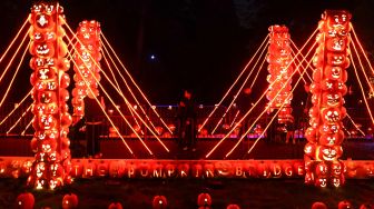 Pengunjung melintasi Jembatan labu di pameran Great Jack O'Lantern Blaze di Van Cortlandt Manor, Croton-on-Hudson, New York, Amerika Serikat, Sabtu (8/10/2022). [Bryan R. Smith / AFP]