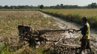 Sumsel Sepekan: Petani di Sumsel Kesulitan BBM, Tawuran Remaja Bawa Sajam di Palembang