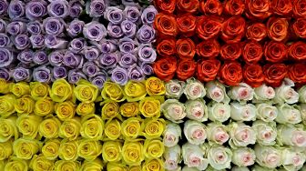 Melihat Beragam Jenis Bunga Cantik di Expo Flor Ekuador 2022
