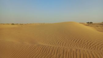 Tak Sekadar Hamparan Pasir, Inilah 7 Hal yang Ditawarkan Dubai Desert Safari