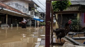 68 RT di Jakarta Ini Kebanjiran karena Kali Ciliwung Meluap, Ketinggian Air Ada yang Lebih dari 2 Meter