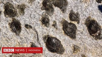 Batu Misterius di Portugal yang "Melahirkan" Batu-batu Lain