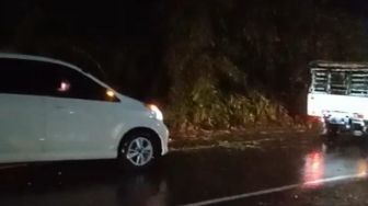 Pohon Bambu Tumbang di Jalur Puncak Tutupi Setengah Badan Jalan