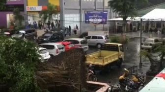 Hujan Deras Disertai Angin Kencang Terjang Bogor, Pohon Besar Tumbang di Universitas Pakuan