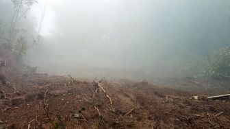 Waduh! Proyek Pembangunan Saluran Air Bersih Diduga Sebabkan Hutan di Gunung Slamet Longsor