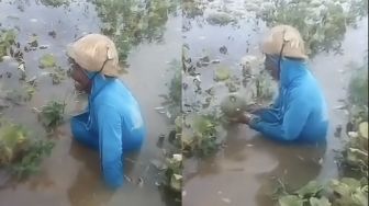 Viral Video Tangis Pilu Petani Melon Gagal Panen Akibat Banjir Bikin Netizen Mewek