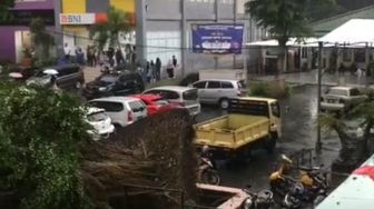 Diterjang Hujan Angin, Pohon Besar Tumbang di Universitas Pakuan