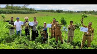 Tindaklanjut Agrosolution di Ponorogo, Pupuk Kaltim Edukasi Petani Pembuatan Kompos