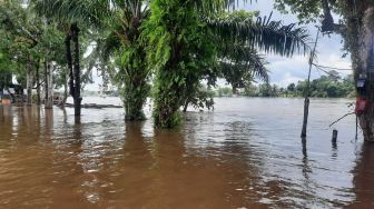 Sintang Banjir, Warga Nilai Pembangunan Geobag yang Telan Anggaran Puluhan Miliar Sia-Sia