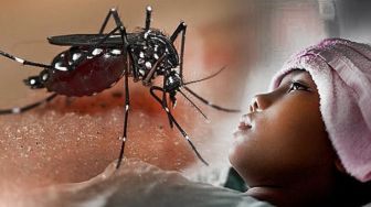 Curah Hujan Tinggi, Dinkes Kota Serang Imbau Waspada DBD