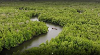 Bintan Segera Miliki Perbup soal Lahan Mangrove