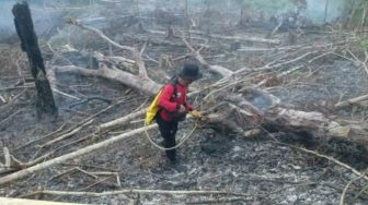 Terjadi Kebakaran Hutan dan Lahan di Penajam