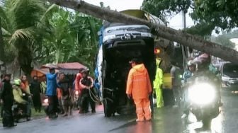 Mobil Pikap Tersangkut Pohon Tumbang di Cugenang Cianjur