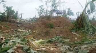 Kawanan Gajah Liar Obrak-abrik Perkebunan Warga di Aceh Timur