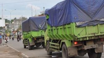 Tak Terdaftar di Aplikasi Simpang Bara, Truk Batu Bara Tak Bisa Jalan