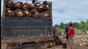 Alasan Malaysia Ajak Indonesia Hentikan Ekspor CPO ke Eropa: Ruwet, Bikin Rugi Melulu