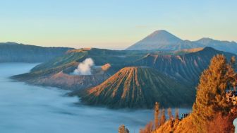 Viral! Bocah Gemoy Nangis Sesegukan saat Lihat Bukit Teletubbies di Bromo, Ternyata Ini Alasannya