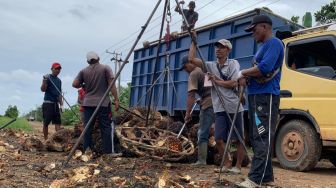 Sawit Belum Memakmurkan Petani Bumi Sriwijaya