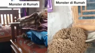 Ngeri-Ngeri Sedep! Rumah Ini Diserang Rayap hingga Bentuk Sarang bak Monster