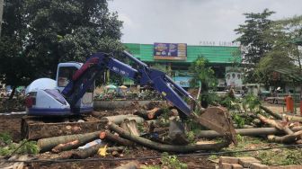 Kesaksian Warga Melihat Detik-detik Pohon Tumbang di Cibinong Timpa Mobil dan Pengendara Motor