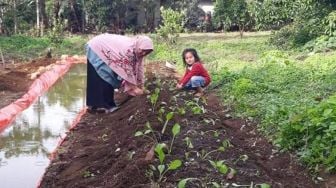 Kembangkan Pertanian Ramah Lingkungan, Pabrik AQUA Solok Wadahi Kelompok Tani Lewat Rumah Pangan Lestari