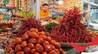 Harga Cabai Kembali Turun