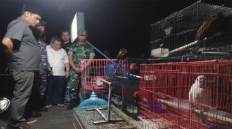 Lanal Banjarmasin Gagalkan Penyelundupan Satwa Dilindungi di Kalteng, Termasuk Burung Cucak Emas