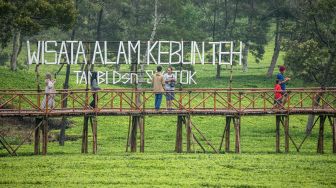 Sejumlah pengunjung berjalan melalui jembatan bambu di wisata alam Kebun Teh Tambi Sikatok di Dusun Sikatok, Desa Sigedang, Kecamatan Kejajar, Kabupaten Wonosobo, Jawa Tengah, Sabtu (22/10/2022). [ANTARA FOTO/Aji Styawan/aww]