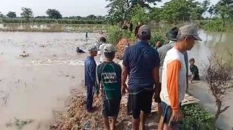 Tanggul 2 Sungai Jebol Rendam Permukiman serta Sawah Warga Sukodadi Lamongan