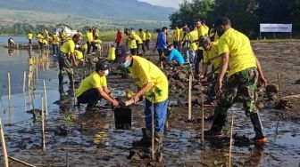 ASDP Akselerasi Program Penanaman Mangrove untuk Tekan Emisi Karbon